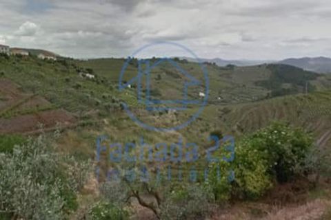 Villa a Sabrosa, Vila Real, Sabrosa - € 19.800 | Ref: 15/23 - foto 7