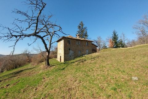 Villa a Zocca, Modena, Zocca - € 175.000 | Ref: ZOCCA21 - foto 7