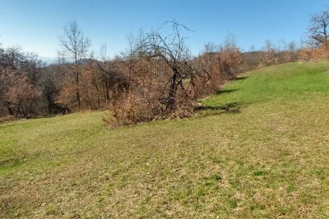 Villa a Zocca, Modena, Zocca - € 175.000 | Ref: ZOCCA21 - foto 17