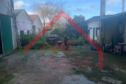 Landejendom i Cadaval, Lisbon, Cadaval - € 179.500 | Ref: QUIN_TH-MA 098 - foto 2