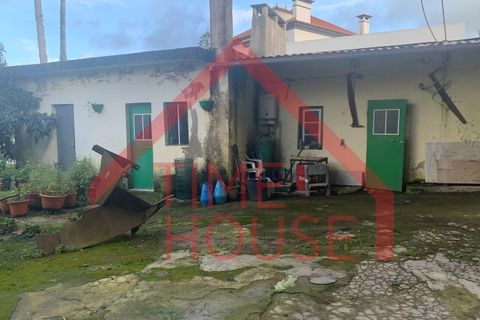 Landejendom i Cadaval, Lisbon, Cadaval - € 179.500 | Ref: QUIN_TH-MA 098 - foto 14
