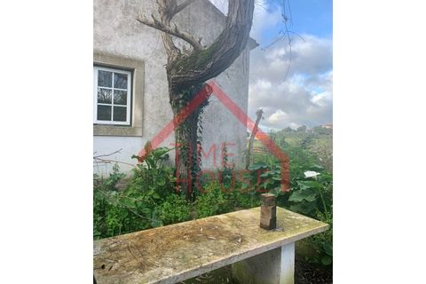 Landejendom i Cadaval, Lisbon, Cadaval - € 179.500 | Ref: QUIN_TH-MA 098 - foto 22