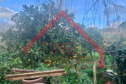 Landejendom i Cadaval, Lisbon, Cadaval - € 179.500 | Ref: QUIN_TH-MA 098 - foto 24