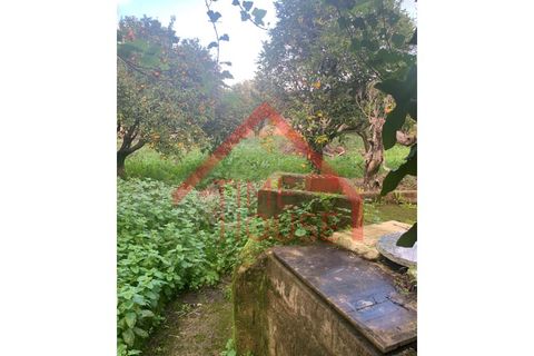 Landejendom i Cadaval, Lisbon, Cadaval - € 179.500 | Ref: QUIN_TH-MA 098 - foto 25