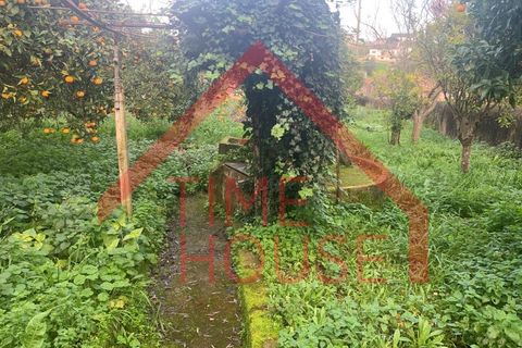 Landejendom i Cadaval, Lisbon, Cadaval - € 179.500 | Ref: QUIN_TH-MA 098 - foto 26