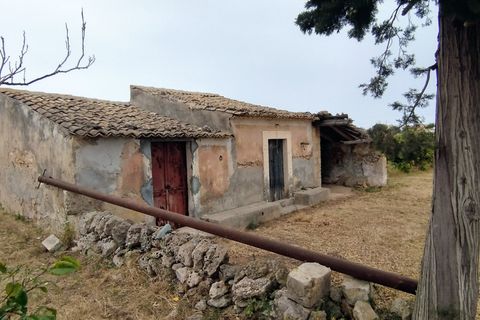 Erhvervsejendom i Noto, Siracusa, Noto - € 350.000 | Ref: TR244 - foto 2