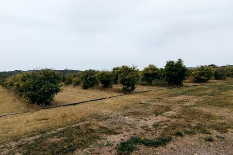 Erhvervsejendom i Noto, Siracusa, Noto - € 350.000 | Ref: TR244 - foto 4