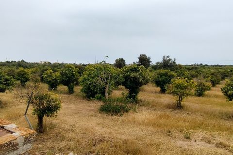 Erhvervsejendom i Noto, Siracusa, Noto - € 350.000 | Ref: TR244 - foto 5