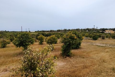 Erhvervsejendom i Noto, Siracusa, Noto - € 350.000 | Ref: TR244 - foto 6