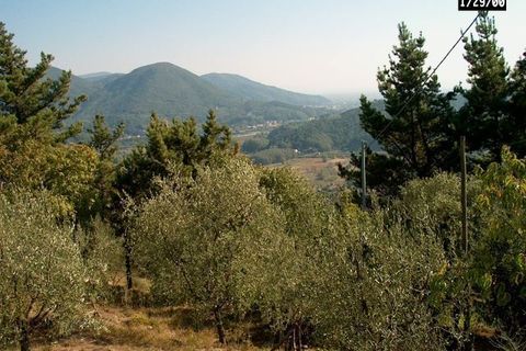Villa i Lucca, Lucca, Lucca - € 800.000 | Ref: 2120 - foto 35