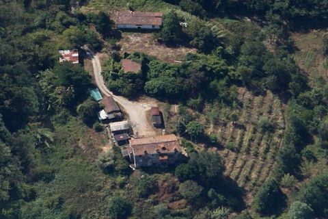 Villa i Lucca, Lucca, Lucca - € 550.000 | Ref: 3329 - foto 2