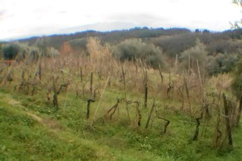 Villa i Lucca, Lucca, Lucca - € 500.000 | Ref: 3330 - foto 3