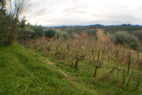 Villa i Lucca, Lucca, Lucca - € 500.000 | Ref: 3330 - foto 4