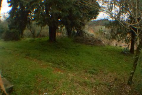 Villa i Lucca, Lucca, Lucca - € 500.000 | Ref: 3330 - foto 6