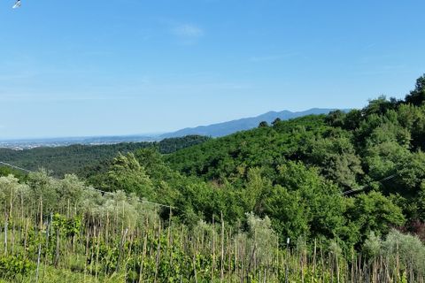 Villa i Lucca, Lucca, Lucca - € 500.000 | Ref: 3330 - foto 30