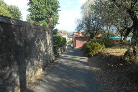 Villa i Lucca, Lucca, Lucca - € 900.000 | Ref: 4311 - foto 39