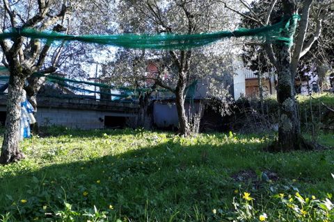 Byhus i Lucca, Lucca, Lucca - € 180.000 | Ref: 4784 - foto 42