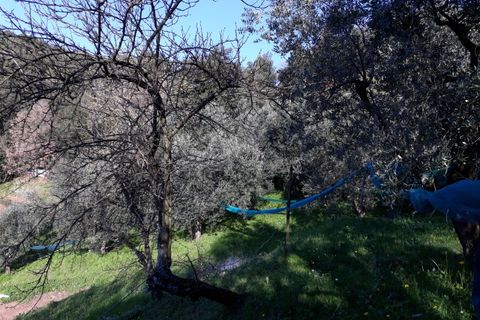 Byhus i Lucca, Lucca, Lucca - € 180.000 | Ref: 4784 - foto 43