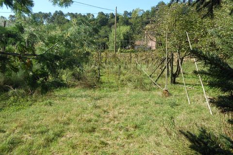 Villa i Lucca, Lucca, Lucca - € 320.000 | Ref: 5118 - foto 30