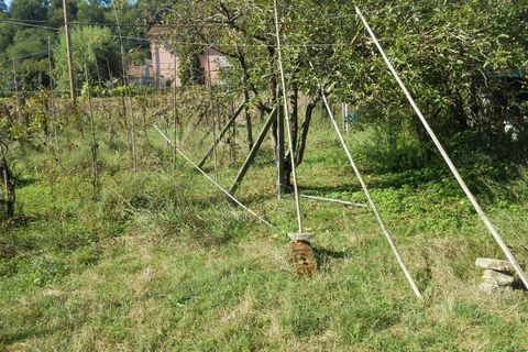 Villa i Lucca, Lucca, Lucca - € 320.000 | Ref: 5118 - foto 31