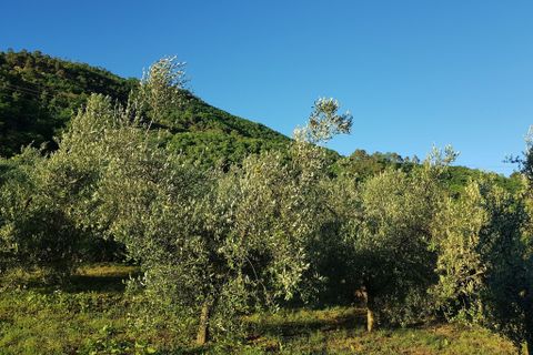 Villa a Capannori, Lucca, Capannori - € 795.000 | Ref: 5298 - foto 25
