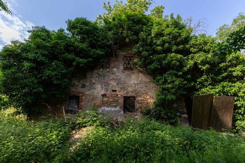 Villa i Lucca, Lucca, Lucca - € 1.100.000 | Ref: 5420 - foto 7