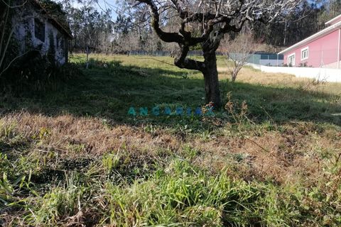 Helårsgrund i Leiria, Leiria, Leiria - € 45.000 | Ref: ANG712 - foto 1