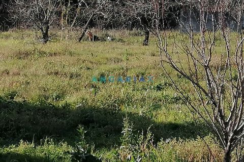 Helårsgrund i Leiria, Leiria, Leiria - € 45.000 | Ref: ANG712 - foto 4