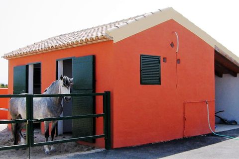 Villa i Elche, Alicante, Elche - € 377.000 | Ref: FINCA01. elx - foto 8