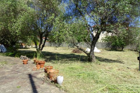 Villa i Luni, La Spezia, Luni - € 450.000 | Ref: 1726 - foto 24
