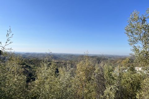 Helårsgrund i Monchique, Faro, Monchique - € 295.000 | Ref: 10299 - foto 1