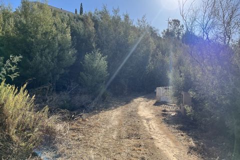 Helårsgrund i Monchique, Faro, Monchique - € 295.000 | Ref: 10299 - foto 2