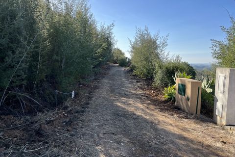 Helårsgrund i Monchique, Faro, Monchique - € 295.000 | Ref: 10299 - foto 3