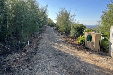 Helårsgrund i Monchique, Faro, Monchique - € 295.000 | Ref: 10299 - foto 4
