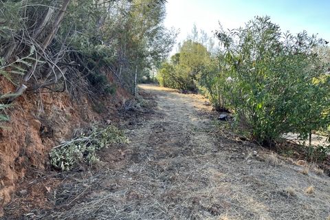 Helårsgrund i Monchique, Faro, Monchique - € 295.000 | Ref: 10299 - foto 6
