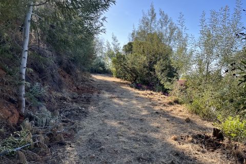 Helårsgrund i Monchique, Faro, Monchique - € 295.000 | Ref: 10299 - foto 8