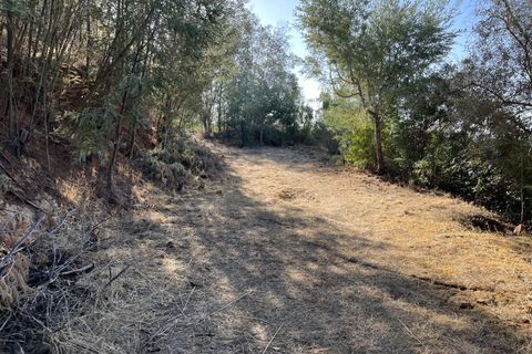 Helårsgrund i Monchique, Faro, Monchique - € 295.000 | Ref: 10299 - foto 12
