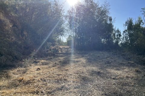 Helårsgrund i Monchique, Faro, Monchique - € 295.000 | Ref: 10299 - foto 13
