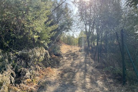 Helårsgrund i Monchique, Faro, Monchique - € 295.000 | Ref: 10299 - foto 14