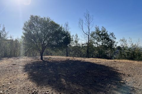 Helårsgrund i Monchique, Faro, Monchique - € 295.000 | Ref: 10299 - foto 18