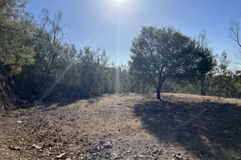 Helårsgrund i Monchique, Faro, Monchique - € 295.000 | Ref: 10299 - foto 19