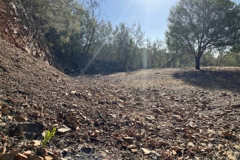 Helårsgrund i Monchique, Faro, Monchique - € 295.000 | Ref: 10299 - foto 21