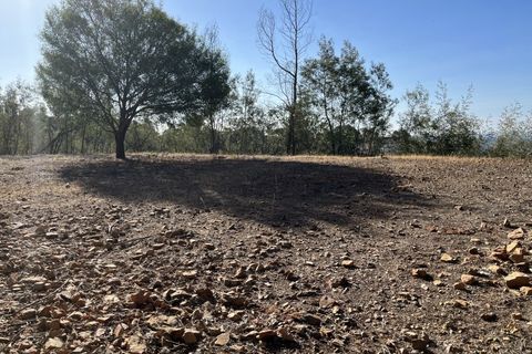 Helårsgrund i Monchique, Faro, Monchique - € 295.000 | Ref: 10299 - foto 22