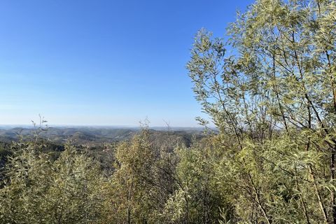 Helårsgrund i Monchique, Faro, Monchique - € 295.000 | Ref: 10299 - foto 26