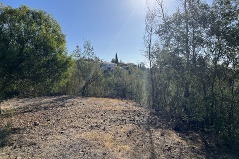 Helårsgrund i Monchique, Faro, Monchique - € 295.000 | Ref: 10299 - foto 28