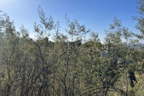 Helårsgrund i Monchique, Faro, Monchique - € 295.000 | Ref: 10299 - foto 29