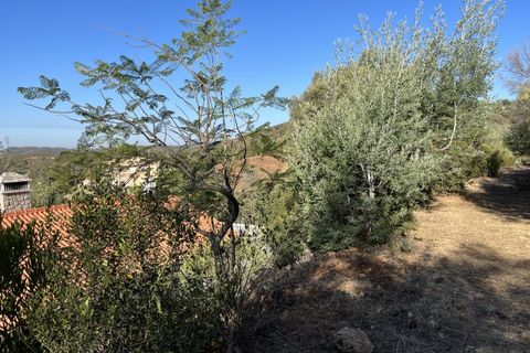 Helårsgrund i Monchique, Faro, Monchique - € 295.000 | Ref: 10299 - foto 43