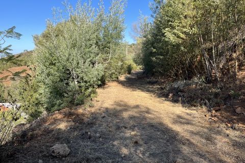 Helårsgrund i Monchique, Faro, Monchique - € 295.000 | Ref: 10299 - foto 44