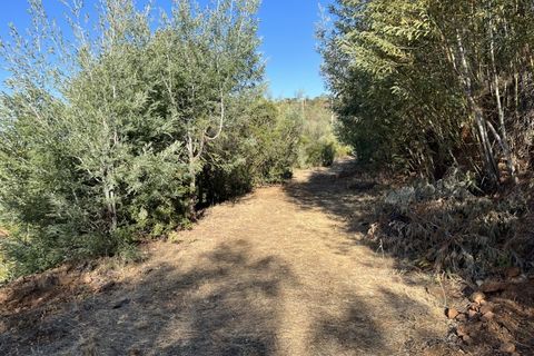 Helårsgrund i Monchique, Faro, Monchique - € 295.000 | Ref: 10299 - foto 46