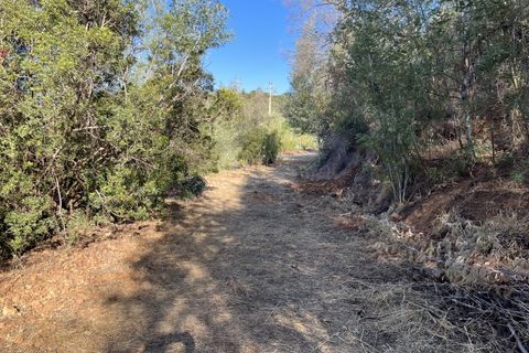 Helårsgrund i Monchique, Faro, Monchique - € 295.000 | Ref: 10299 - foto 48